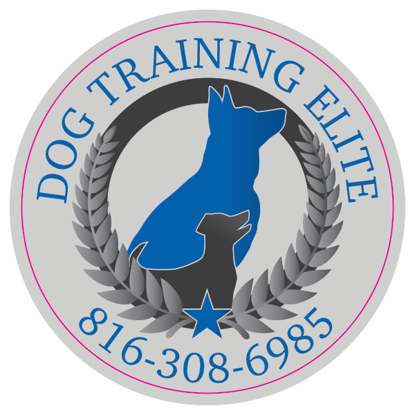 DOG-TRAINING-ELITE_600X600