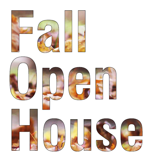 https://downtownls.org/wp-content/uploads/Fall-Open-House-Logo-for-Social.jpg